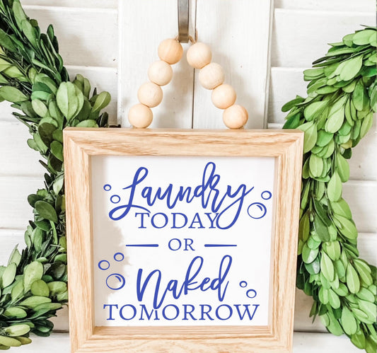 Laundry Today Or Naked Tomorrow