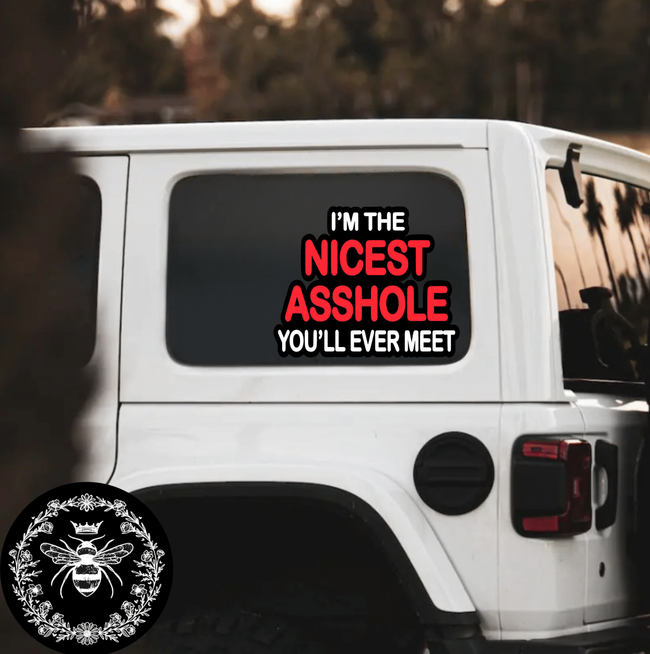 "I'm So Nice" Decal