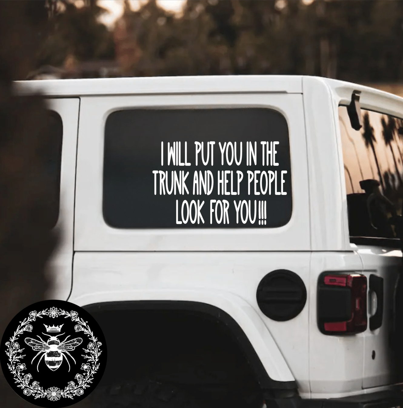 "Don't Test Me" Decal